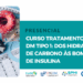 Curso Tratamento da DM Tipo 1 Dos Hidratos de carbono às bombas de insulina